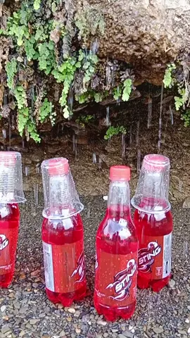 #stinglovers🍷🤤🧊 