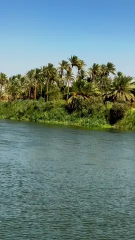 #عبارات #شعر  #شعروقصايد  #شعراء_وذواقين_الشعر_الشعبي 