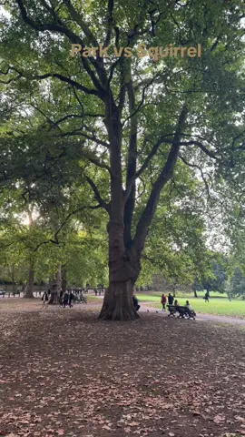 #park#squirrel 