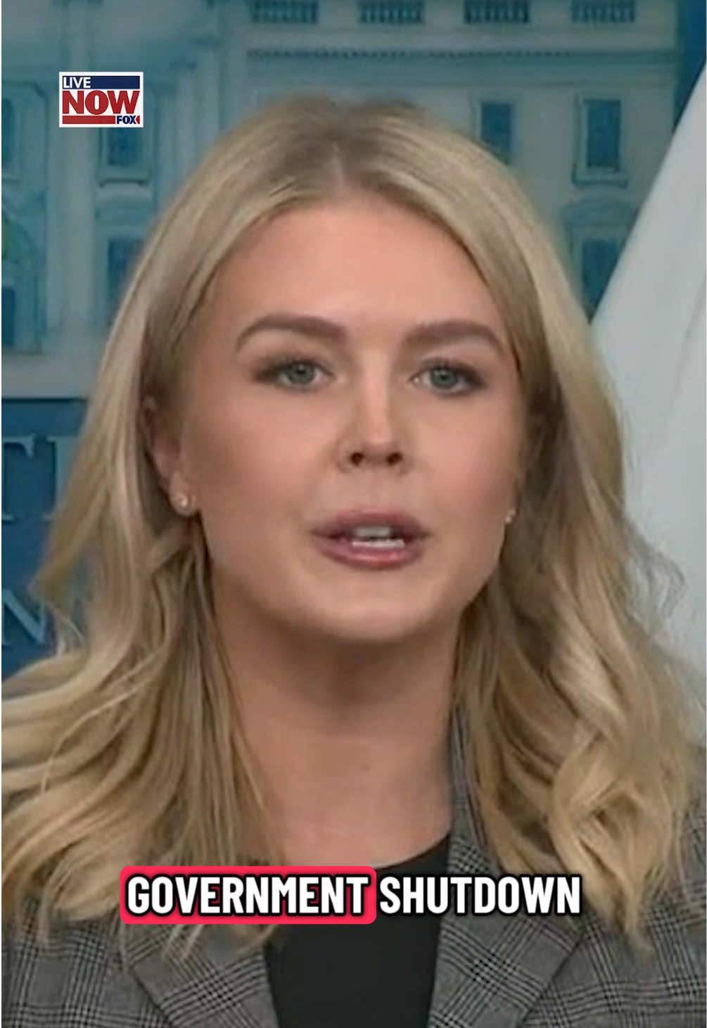 White House press secretary Karoline Leavitt blamed the government shutdown on the Democratic party at the first press briefing since federal offices were shuttered. 
