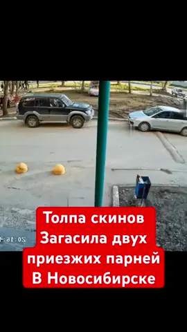 БОЛЬШЕ ТРЕША В ССЫЛКЕ ШАПКИ ПРОФИЛЯ🔥 #ЗлойКролик #fyp #Юмор #virał 🇷🇺 #telegram❗️