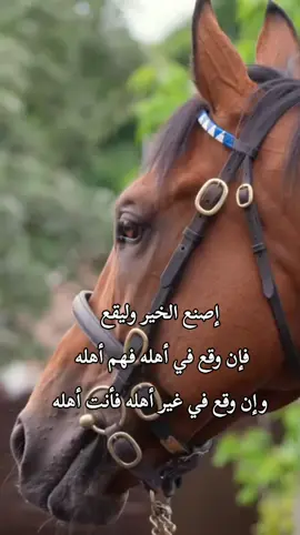 #عابر_سبيل 