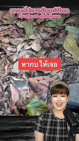 รูปนี้มีกบหาให้เจอ !!! #pepkemika #เป๊ปเขมิกา #หาให้เจอ #จับผิดภาพ 