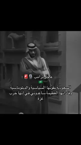 اللهم احفظ لنا مملكتنا🇸🇦❤️#ولي_العهد_محمد_بن_سلمان_حفظه_الله #اكسبلور #fyp #السعودية #غزه 