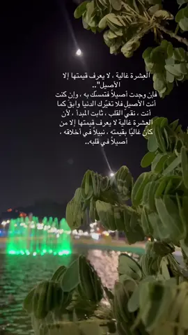 #اكسبلور #ديشمـــــرية #حائل #تصويري📷 #مساء_الخير 