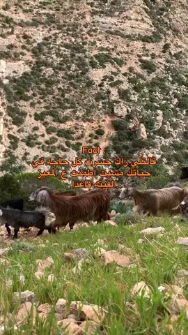 #سوسه_بنغازي_البيضاء_طبرق_درنه_شحات_ليبيا #الشعب_الصيني_ماله_حل😂😂 