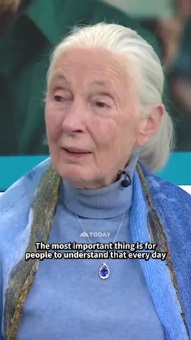 In 2024, Jane Goodall spoke on TODAY about how to do good on Earth: 