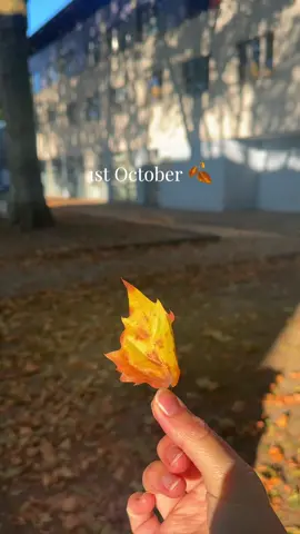 🍂☕️🤍