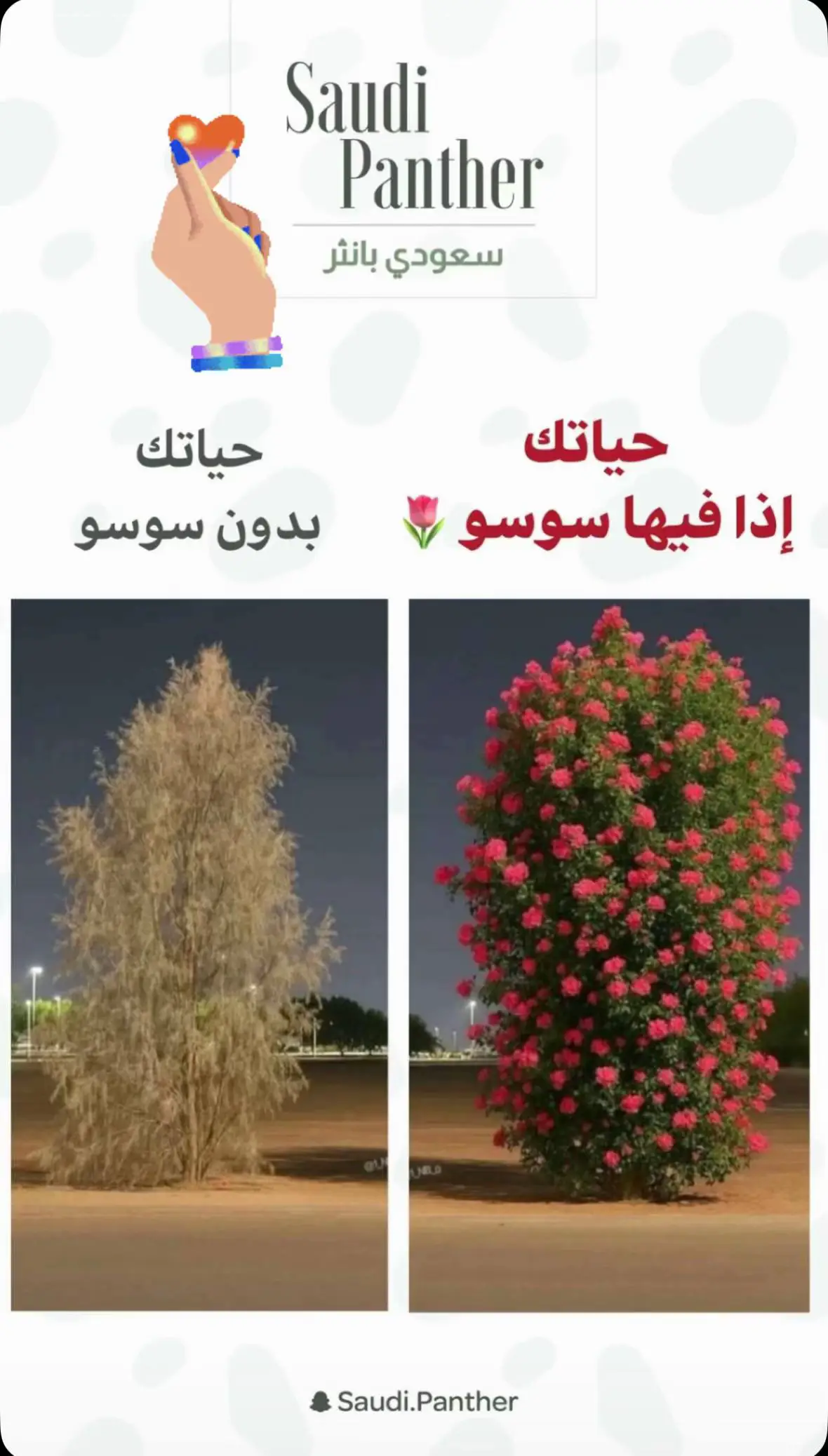 ف اعتراض لا سمح الله ..؟! #