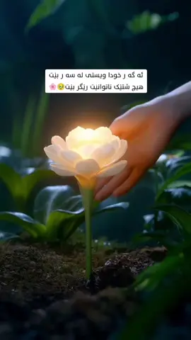 هــــە مـــــیشە پشـــت بە خـــودا ببە ســتە🌸🌷🪷#allah #fyppppppppppppppppppppppp #viralvideo #actives? #foryoupage 