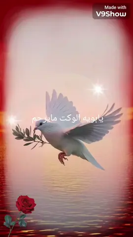 #مساء_الخير #fاحزان #حكم #اقتباسات #خواطر 