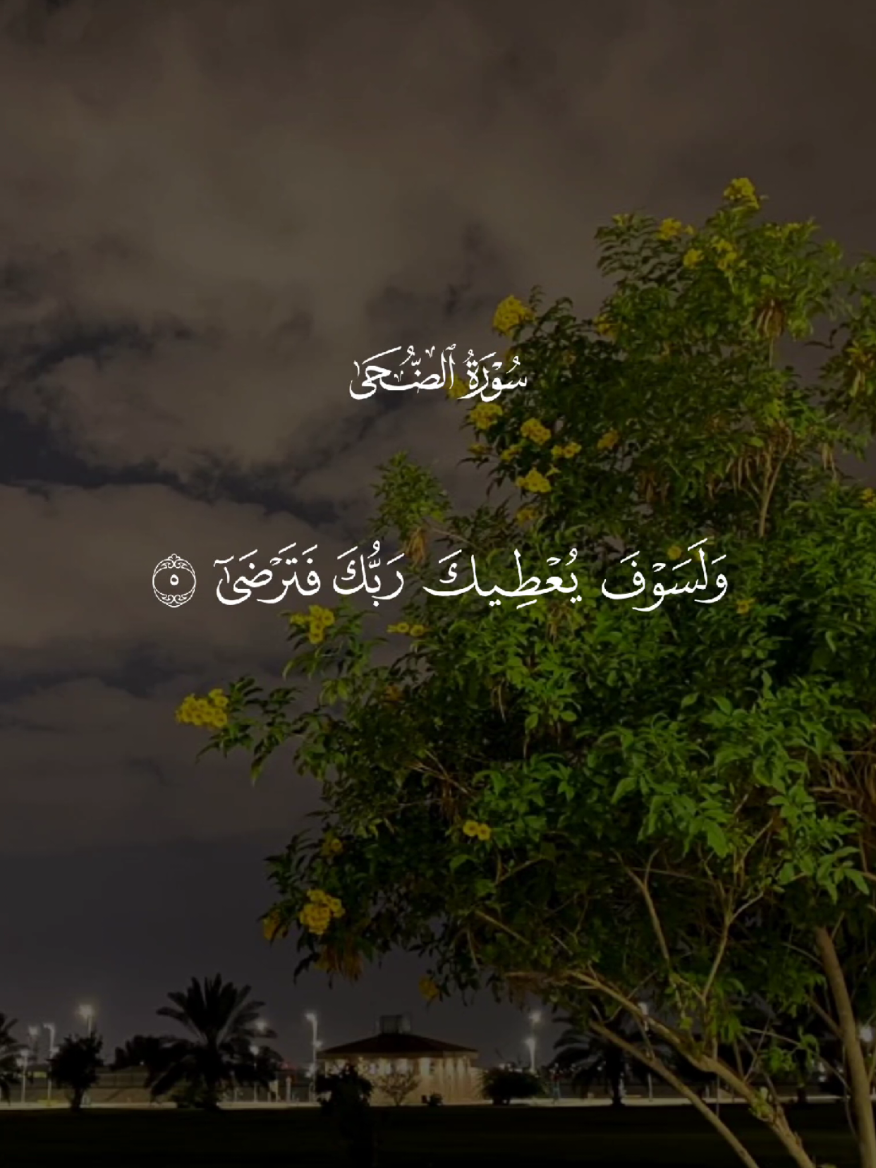 #قران #quran #قران_كريم #Allah #اللهم_صلي_على_نبينا_محمد 