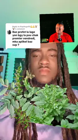 #ralhlavoixdor #profètmakenson  #mrspoppyseed #roodyrooboy #anialerte 
