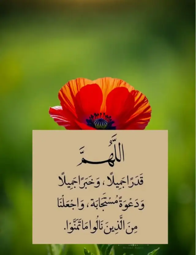 #_هاشتاقات،، 