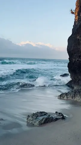 🌊 #tertanam #xyzbca #reggae 