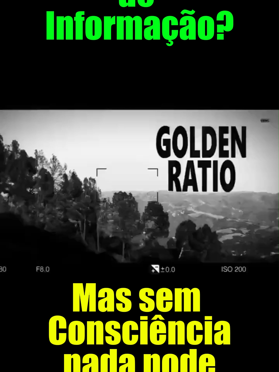 Tudo é feito de energia e informação, mas sem consciência nada pode se mover. O que acontece é simples: tudo no universo consiste em energia , como vórtices e informações. A computação contínua e invisível cria a realidade ou o objeto físico. A análise está continuamente em andamento; o cálculo é feito instantaneamente e com precisão. Mas quando olhamos para algo, vemos apenas a imagem do objeto, não o próprio objeto; como essa computação está em andamento, nossos olhos devem ver o objeto físico, não o movimento constante. A física newtoniana está tão profundamente enraizada que estamos genuinamente convencidos de que a matéria é sólida, e é difícil mudar essa visão. Mas devemos sempre lembrar que a noção de um átomo cercado por partículas é simplesmente um modelo. Vemos a matéria como um objeto físico porque nossos olhos devem vê-la dessa maneira para entender o mundo; caso contrário, se víssemos tudo como energia ou informação, não seríamos capazes de entender o mundo em que vivemos. Seria um caos. Está claro agora que nossos olhos percebem as coisas como sólidas para que possamos interagir com o chamado mundo físico. #arqueologia #astronomia #humanidade #quandoosplanetaseramdeuses #cosmologiadoplasma #mitologia #deusesplaneta #consciencia #informação #universo
