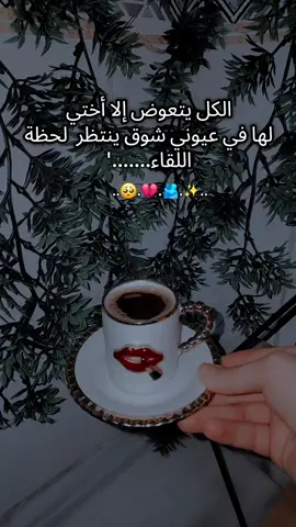 اي ولله مشتاقة كتير🥺💔#منشن اختك البعيدة🫂#منشن_شخص_تبي_يشوف_المقطع #ام -محمد❤✨ #عملولي_أعادة_نشر😒 #تصويري📸 @Salih Mehmet 