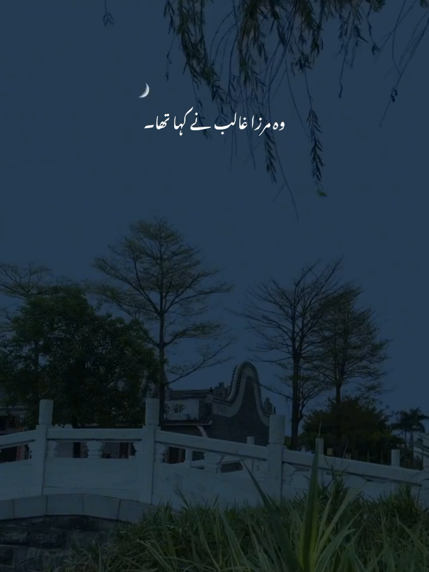 Zakir Ali Abbass Askari 🥀❤️‍🩹  #foryoupage #foryou #zakiraliabbasas #zakiraliabbasaskari #zakiraliabbasaskaripoetry 