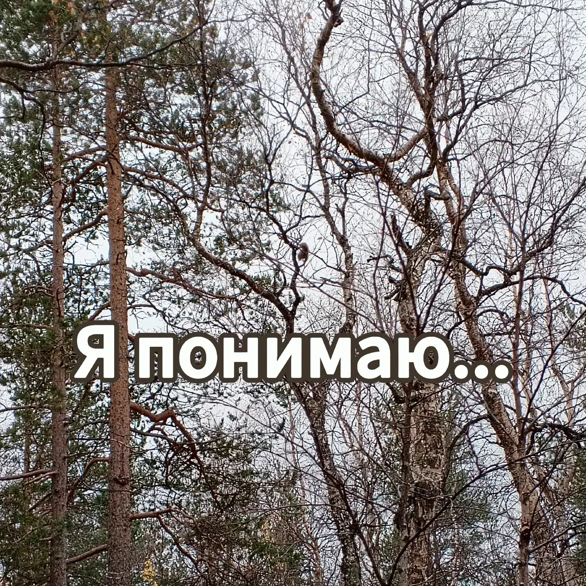 У волка нет цели, есть только работа #мудрость #неработаем #размышления #fyp 