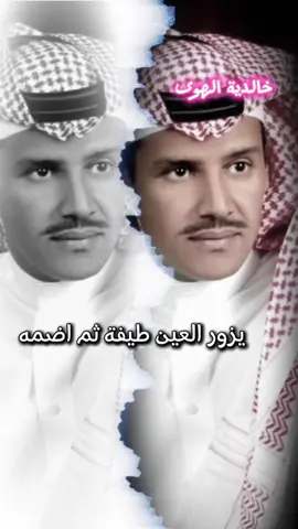 #يزور العين طيفة ثم اضمه واحس ان الهوى عطره واشمه#خالد_عبد_الرحمن #مخاوي_الليل #foryou 