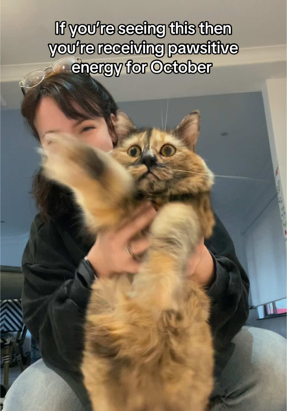 #cat 