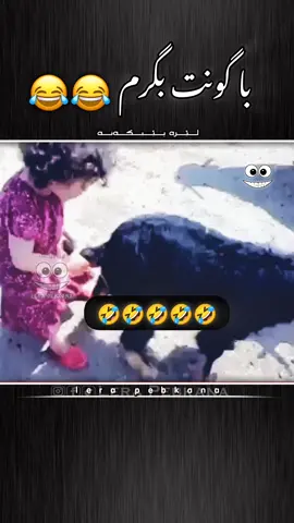 کورە مردم راوە با گۆنت بگرم😂😂😂😂--#لێرە_پێبکەنە #کورد #کوردستان #هەولێر #دهوك 