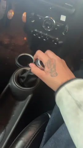 #manualtransmission #dog #mene 