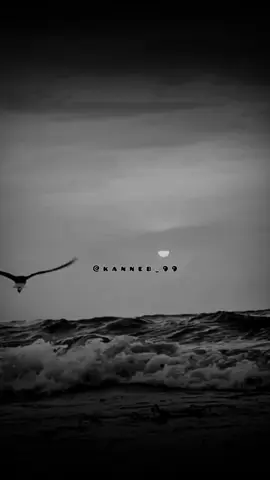 كبرنا ولم تعد تغرينا الأشياء كما كانت #خواطر #اقتباسات #عبارات #حكم #اقوال 