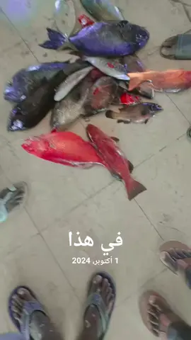#في هذا اليوم