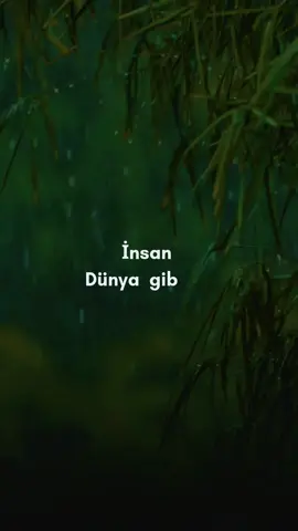 Kimse kimsenin ne yaşadığını yada ne hissettiğini düşünmeden haraket ediyor… #empati 