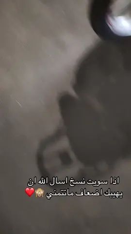 بيتزا هم31منشيه البكري الخليفه المأمون مصر الجديده