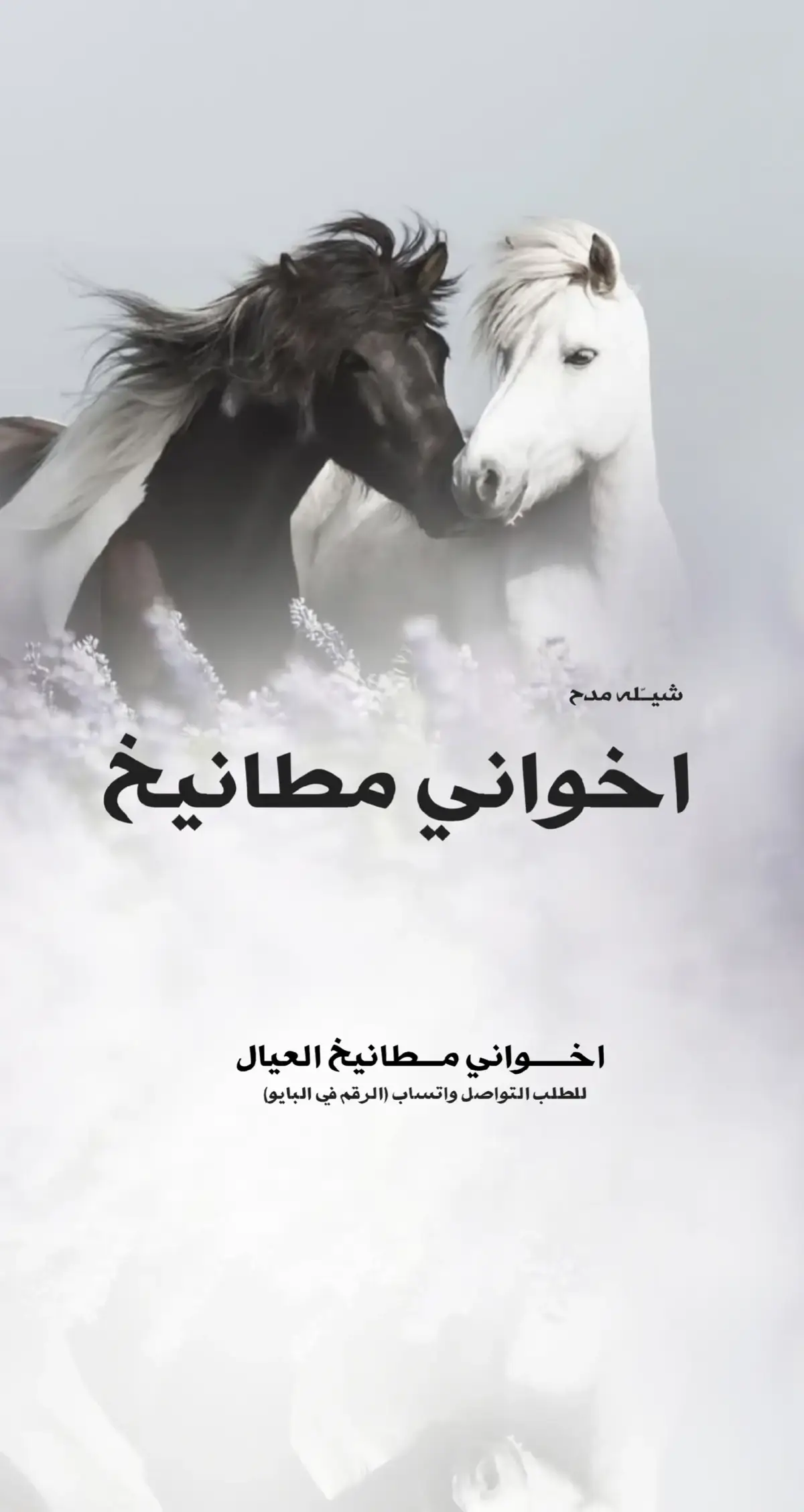#شيله_عريس #شيلات_عريس #شيله_عريس_2025 #شيله_زواج #شيله_عريس_2025 