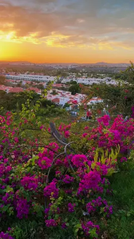 #grancanaria #fyp #sunset #sunsetlover 