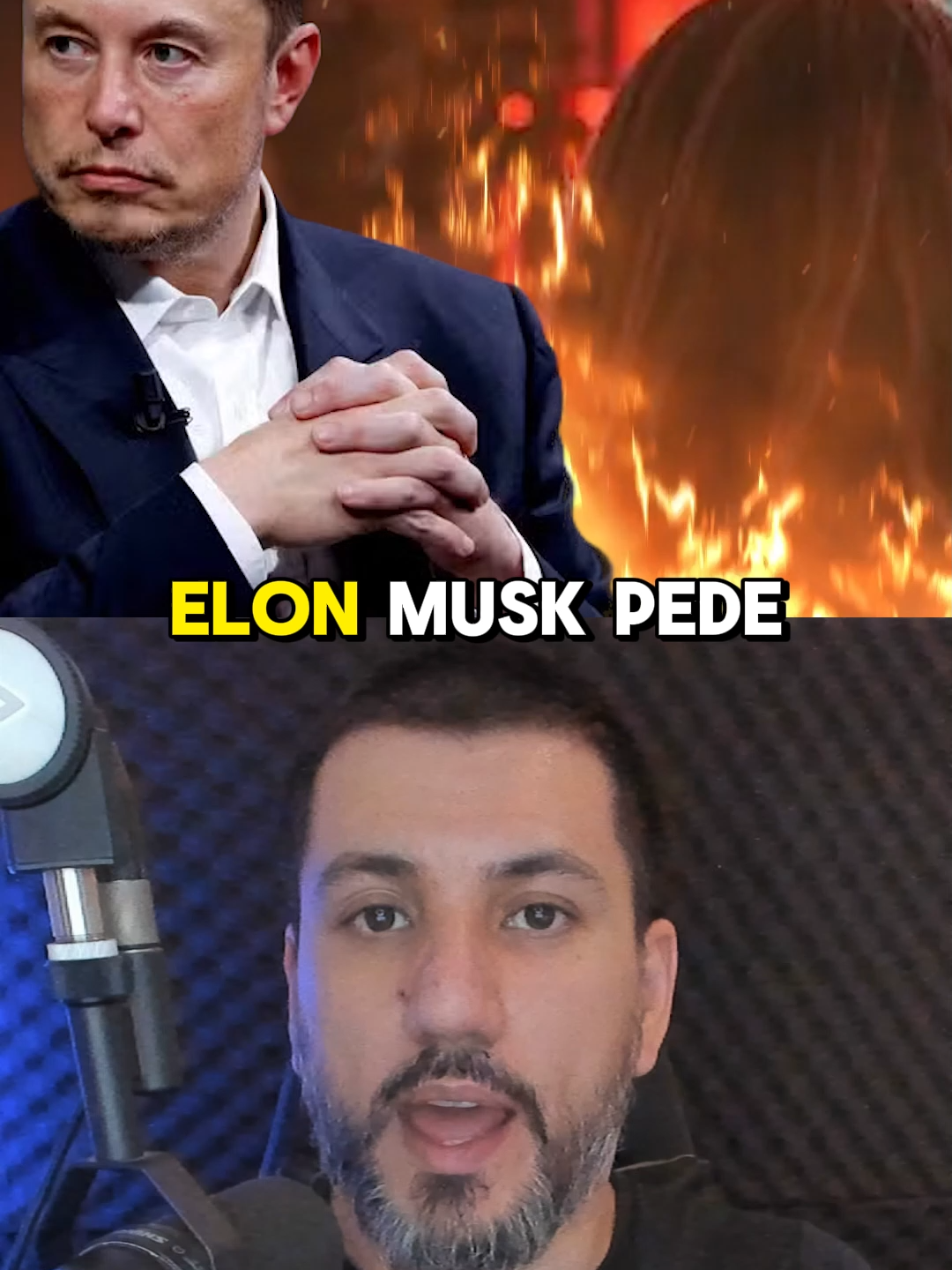 ELON MUSK E NIKOLAS FERREIRA FAZEM BOICOTE CONTRA NETFLIX E CITAM CHARLIE KIRK