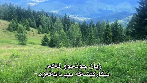 #nature #الرسام_النمساوي #real #reality #fyp 
