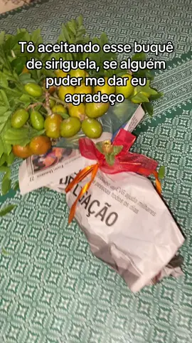 Tô aceitando esse buquê de siriguela  #fruta #frutas #interior #nordeste 