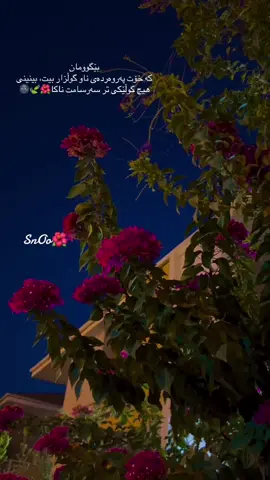 بێگوومان کە خۆت پەروەردەی ناو گوڵزار بیت، بینینی هیچ گوڵێکی تر سەرسامت ناکا🌺🍃🌚#