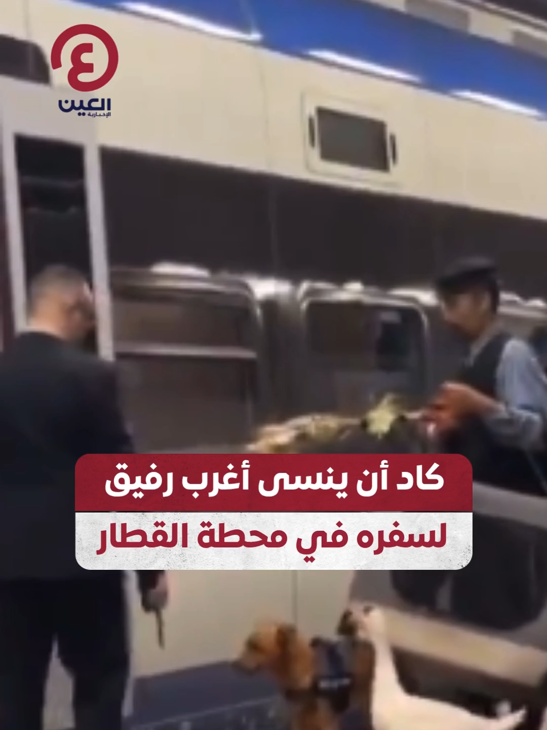 🚂🪿 مشهد طريف في #بولندا.. راكب كاد أن يترك أوزته داخل محطة القطار قبل أن يتدارك الموقف  #عينك_على_العالم #viral #fyp #foryou #trending #اكسبلور #ViralVideo  #TrendingNow #explore