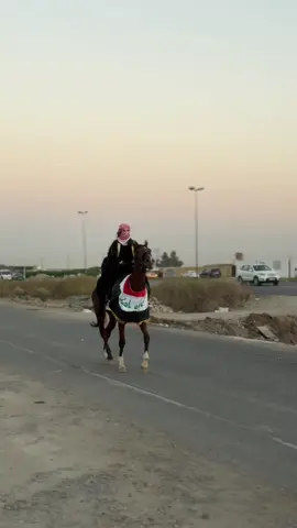 #CapCut #العراق #خيل_وخياله🐎 #الشعب_الصيني_ماله_حل😂😂 #اكسبلور 