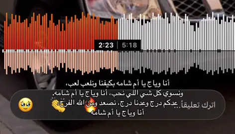 أنا وياج يا أم شامه بكيفنا ونلعب لعب❣️#اغاني_عراقيه #fyp #explor 