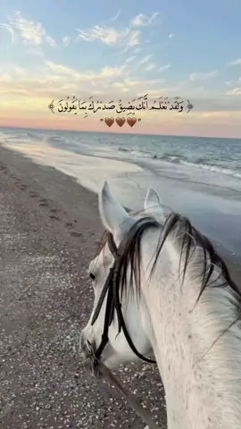 سبحان الله وبحمده سبحان الله العظيم ♥️ #قران_كريم_ارح_سمعك_وقلبك #صلى_على_رسول_الله_صل_الله_عليه_وسلم #علق #بشيئ #تؤجر_عليه 