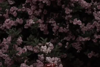 حبيب قلبي .. هنا روحي لقيت فرحة سنيني معاااك !🌚♥️♥️♥️♥️🌎 #fyp #foryou #foryoupage #fyppppppppppppppppppppppp #viral 