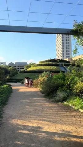 Houston on a good day ✨ #houstontx #mcgoverncentennialgardens #houstonparks #houstontexas #thingstodohouston 