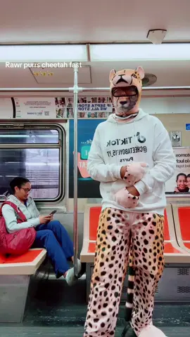 #cheetahfast🐆🐆🐆🐯🐯 #phillytok #fypシ゚viral🖤tikto #septatrain #phillyzoo 