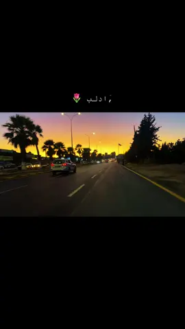 #براء🐆 #تصويري📸 #النعيم #ادلب #الهواشم 