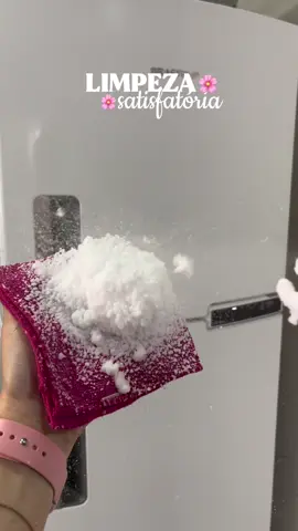 Limpeza satisfatória de casa 