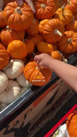 happy October besties 🎃🍂🤎 I spent my day fall shopping wby? #october1st #octobermood #halloween #halloweenseason #octobertiktok 