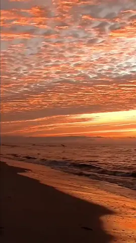 #yarait #7ob #raghebalama #plage #coucherdesoleil 
