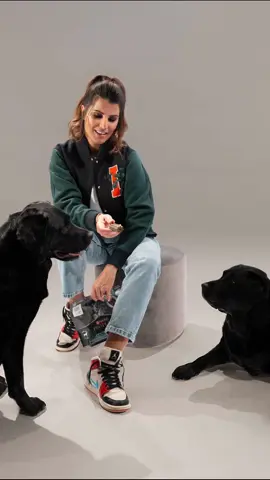 🐾🐶Poser dans un vrai studio avec Dolmen et Bella, loin de nos balades sur les plages bretonnes, était un vrai challenge et une grande première 🤩 !! J’aime les animaux comme vous le savez😻 , je me préoccupe de leur bien-être et pour cela je sais qu’un animal en bonne santé est un animal qui a entre autres, une alimentation de haute qualité adaptée à ses besoins. Dolmen et Bella ont trouvé leur équilibre avec les croquettes Pro Plan. On en reparle très vite !! #tournagebackstage #rmclife #femmedaffairesvibe #ChicStyle #Summer @Karine Ferri Gourcuff Off🔵 @Karine Ferri Gourcuff Off🔵 @Karine Ferri Gourcuff Off🔵 