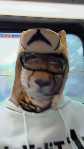 #phillytok #fypシ゚viral🖤tikto #cheetahfast🐆🐆🐆🐯🐯 #phillytiktok #septabus70 